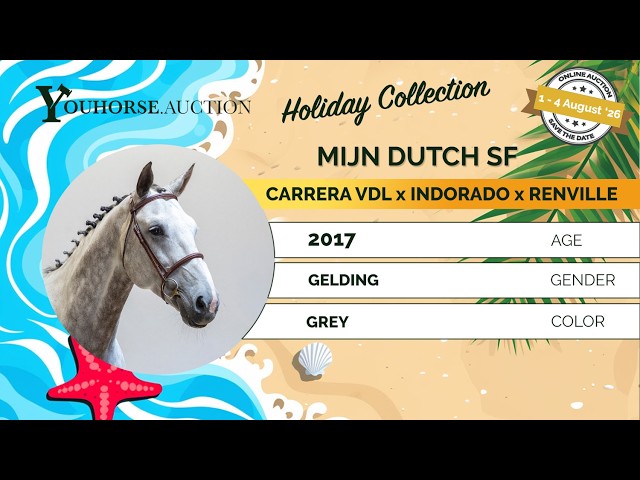 Mijn Dutch SF