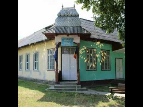 Satul Şoimăresti video colaj editat 2016