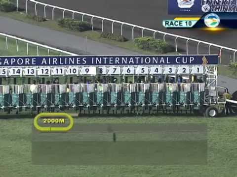 エルドラド　SINGAPORE AIRLINES INTERNATIONAL CUP 2012 (G1)　5着　2012.05.20　R10