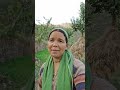 Dekhi Teru Rang Roop Garhwali Song
