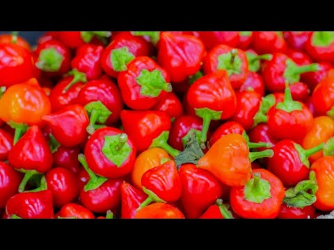 Here's The Truth About Pimentos