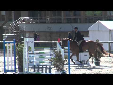 Sultane des Ibis (webstallions.com)