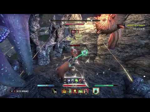Stamina Warden 41.2k not optimal and no relequen dps test