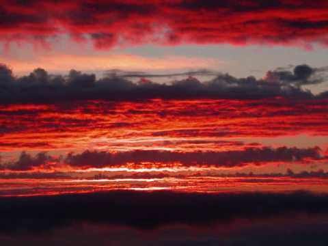 POPOURI ANNE MARIE.simon amade