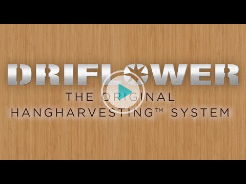 Videos from DriFlower