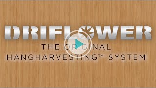 DriFlower HangHarvesting System