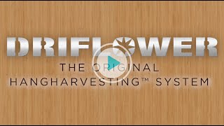 DriFlower HangHarvesting System