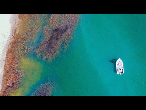 Clear Water Fishing in Australia!