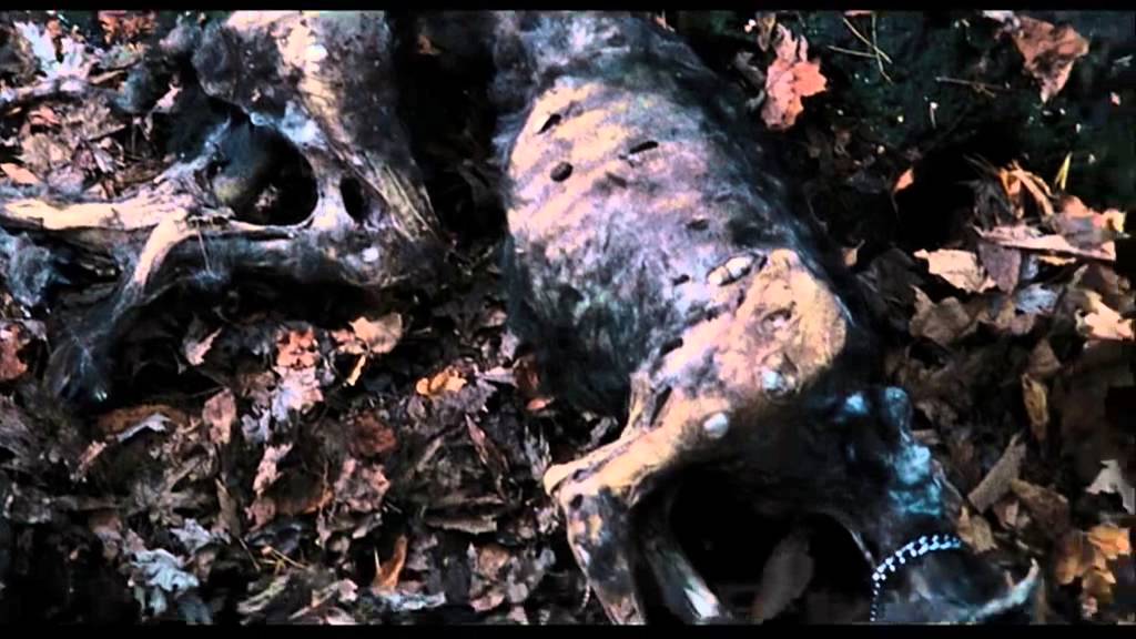 Miniature de la vidéo The Forest - Bande-annonce (VF) du film The Forest