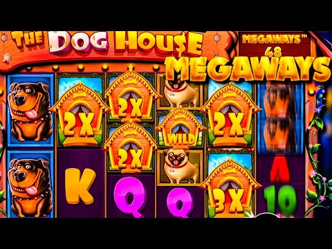 TOP 5 Dog House Megaways  GAMBLING WINS OF THE WEEK⏩😱OMG !!!! ROSHTEIN / Xposed 😜😜😜