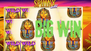 NEW BIG WIN on IGT Sphinx Wild Slot! Epic Payouts and Free Spins Adventure! 🦁💰