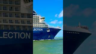 Celebrity Reflection 🛳️ #like #share #comment #subscribe #youtubeshorts #cruise #travel #shorts #yt