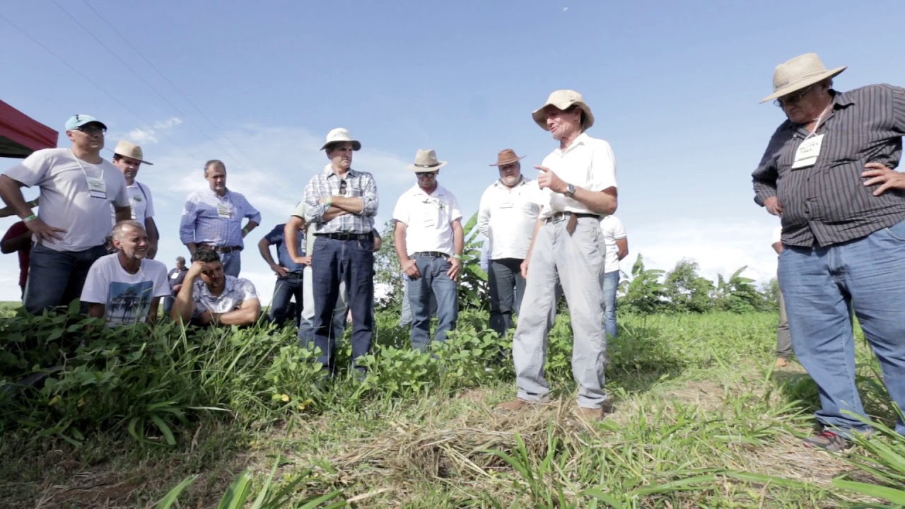 Visita técnica Agricultura Sintrópica com Ernst Götsch - Faz. Invernadinha