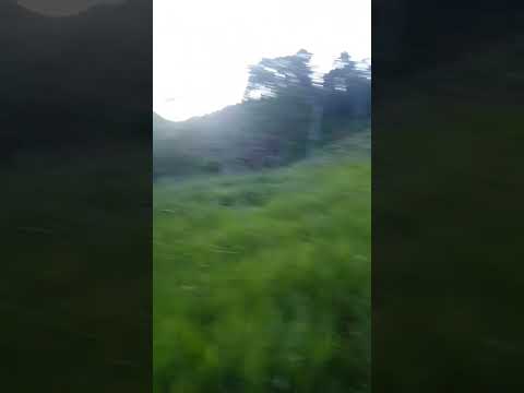 SÍTIO DO TIMORANTE BOA NOVA-BA 