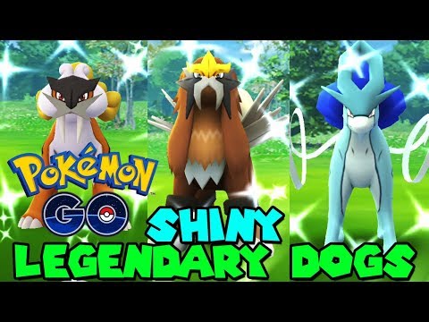 ALL SHINY LEGENDARY DOGS CAUGHT IN POKEMON GO - SHINY RAIKOU, ENTEI & SUICUNE