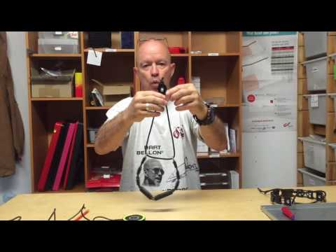 The Revolution Continues