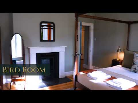 Sancreed House Retreat - Bird Room