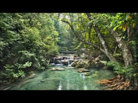 Solaris' Tribute To Photek Oldschool Jungle Mix