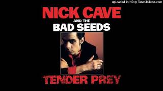 Nick Cave &amp; The Bad Seeds - Watching Alice