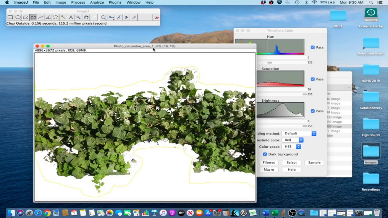 ImageJ Tutorial 1.5 - Measure Leaf Disease Area (Multiple Plants)