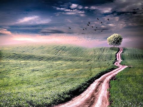 download lagu mp3 mp4 Lemon Tree 下载, download lagu Lemon Tree 下载 gratis, unduh video klip Lemon Tree 下载