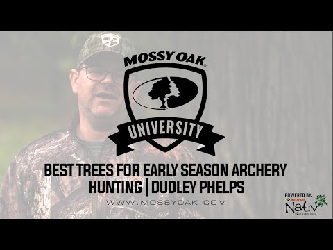 Best Trees for Early Season Bowhunting Video