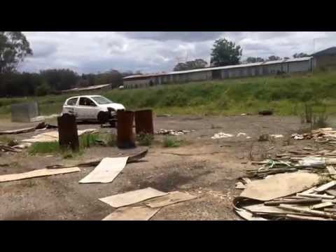 Just Thrashing About Our Toyota Echo