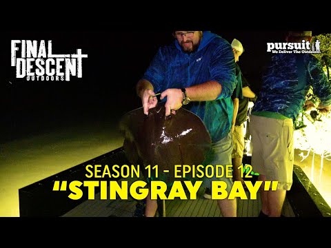 Season 11 Episode 12 "Stingray Bay"