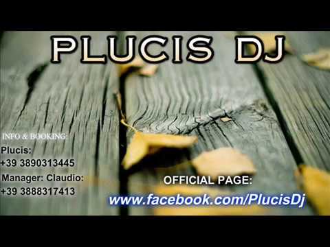 SELECTION COMMERCIALE - NOVEMBRE 2013 - PLUCIS DJ