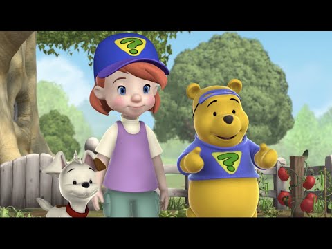 My Friends Tigger & Pooh | Hindi | हिंदी | Pooh's Nightingale | Disney Junior India