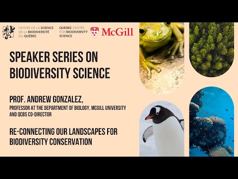 Prof. Andrew Gonzalez, McGill University - Reconnecting our landscapes for biodiversity conservation