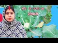 MY First Vlog MY First Vlog Hariyali Desi Vlog Ganga Bhabhi