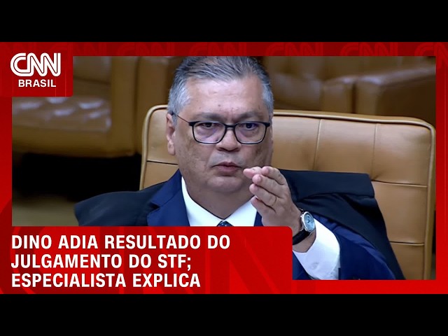 Dino adia resultado do julgamento no STF, avalia especialista | CNN NOVO DIA