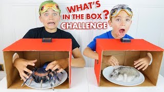 WHAT'S IN THE BOX CHALLENGE ! - C'est quoi dans la boite ? - Néo VS Swan