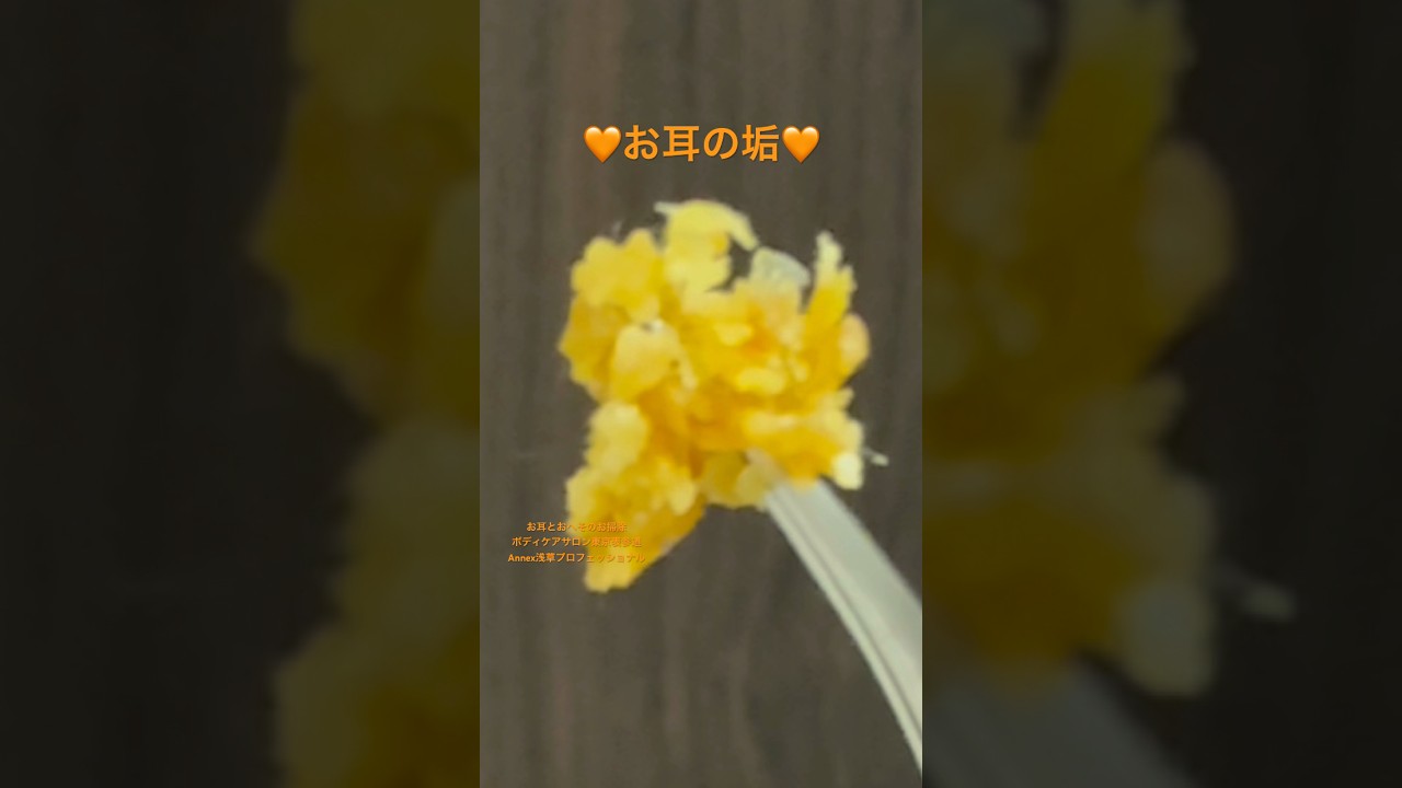186#shorts #耳掃除   #耳かき #japaneseearcleaning #おへそ #掃除 #bellybutton