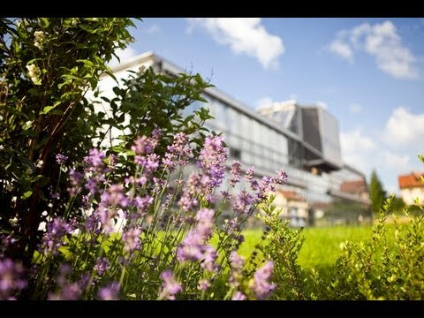 Öko-Lehrpfad MOTIP DUPLI - Luft-Aufnahmen