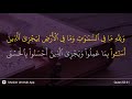 An Najm Ayat 31