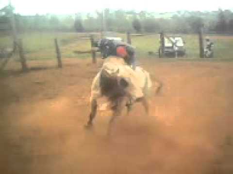 Jonata x Tico Cia jp