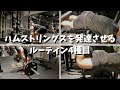 ハムストリングスを発達させるルーティン4種目【デッドリフトとレッグカール】