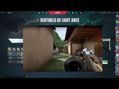 I Just Bought the Sentinels of Light Ares in Valorant