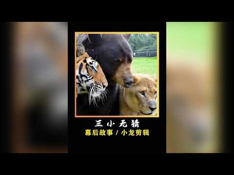 跨越物種的溫馨奇蹟：那些令人意想不到的神仙友誼 #好朋友 #動物 #萬萬沒想到 #友誼