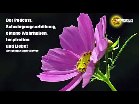 Wieder mal: Die falsche Lichtseite