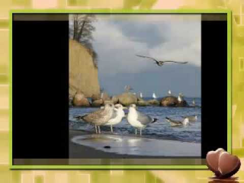 EKT Gdynia Morze moje morze