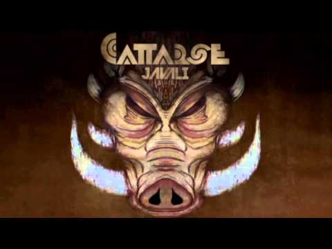 Cattarse - Javali