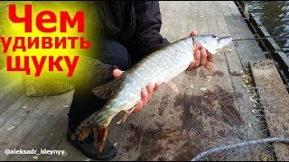 Как ловить щуку с берега киев
