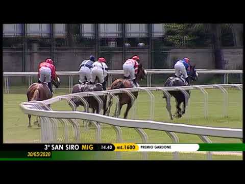 2020.05.30 Premio Gardone (ITA) - Elaire Noire