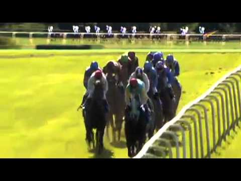 29.09.2013 Hannover 4.Rennen Preis der Concordia Versicherungen - Agl. 2 (C) 1.900 m