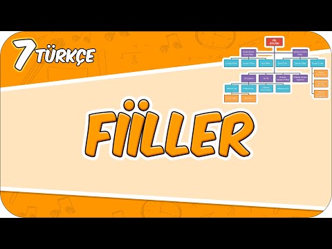 Fiiller - Konu Özeti 📙 7TURK1 #2026