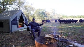 Luxury Camping With COWS + Cooking Salmon In A Inflatable Tent !!