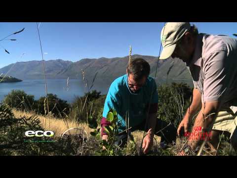 Wanaka Nature Encounter